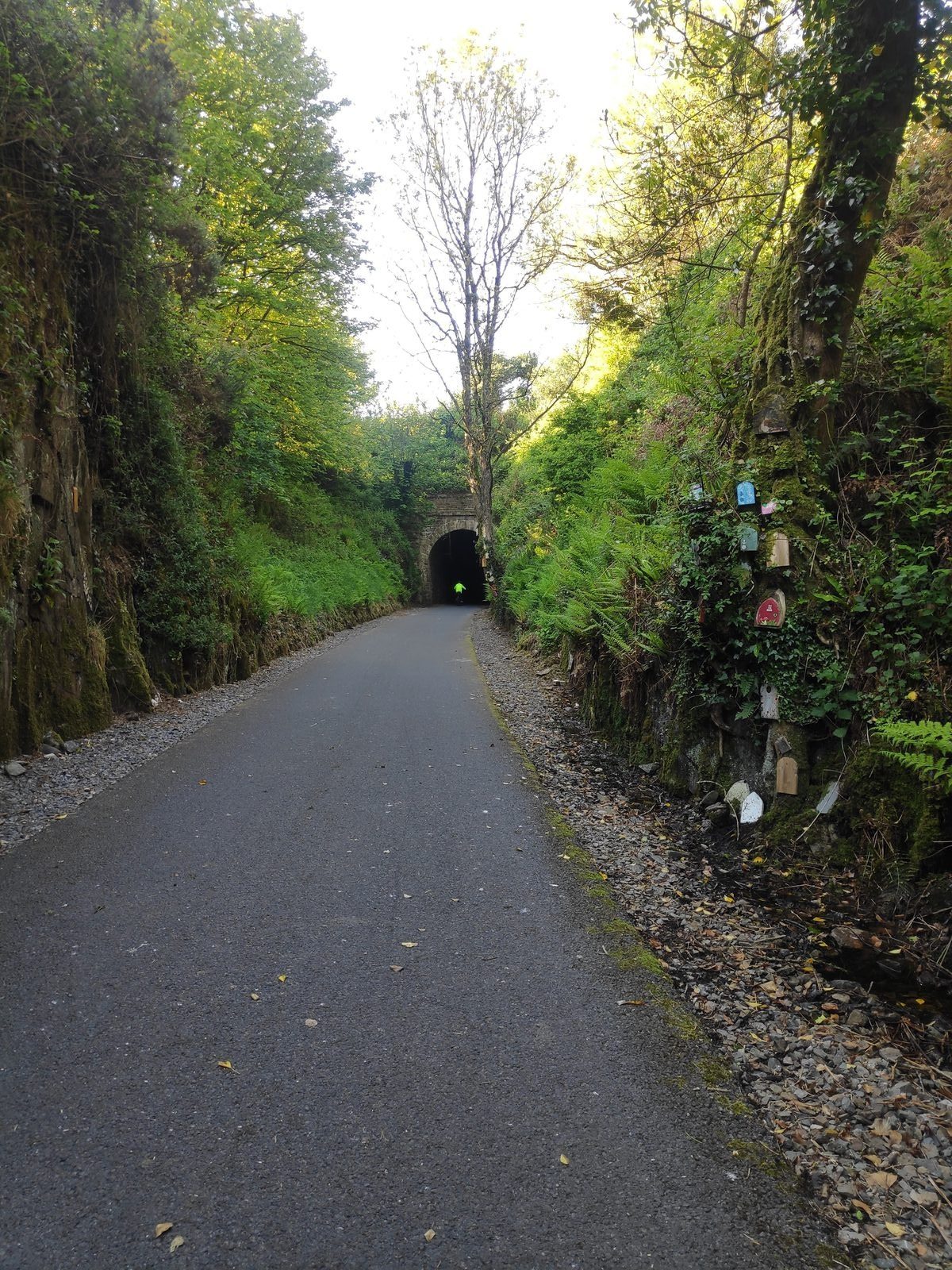 Tunnel at greenway, past Durrow